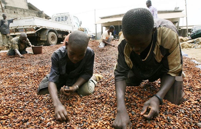 2-millions-denfants-confrontes-a-des-conditions-de-travail-difficiles-et-dangereuses