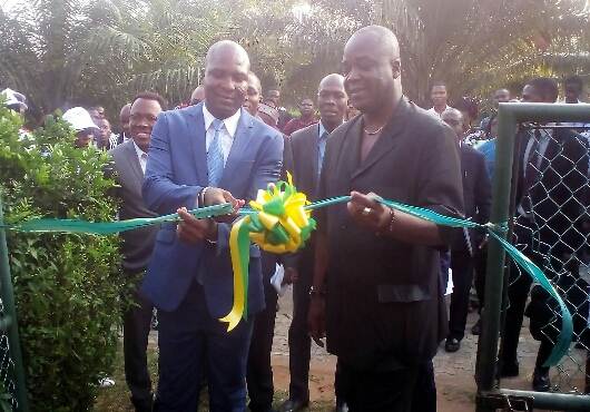 20170808_215909_530x370