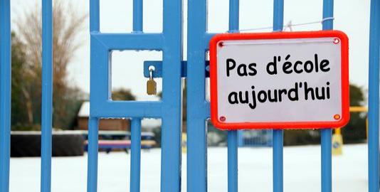 524-scool