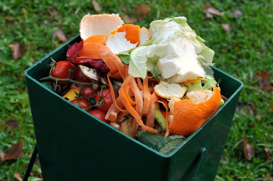 7775409594_gaspillage