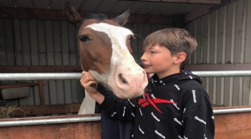 A-13-ans-il-sauve-un-cheval-de-la-noyade-en-le-maintenant-a-la-surface-pendant-plus-dune-heure