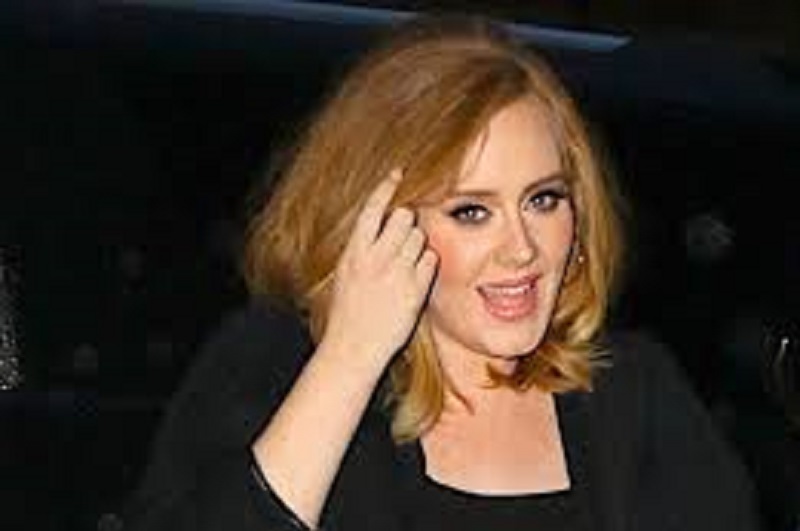 Adele-la-chanteuse-annonce-son-tout-nouveau-projet-mais-decoit-des-fans-photo