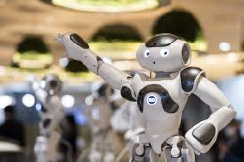 Afrique-du-Sud-des-robots-au-service-des-clients-dun-hotel