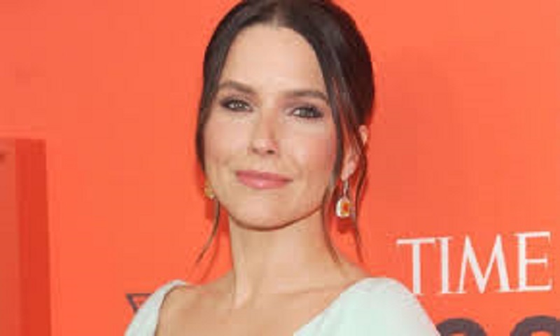 Amerique-presidentielle-lactrice-Sophia-Bush-encourage-ses-fans-a-voter