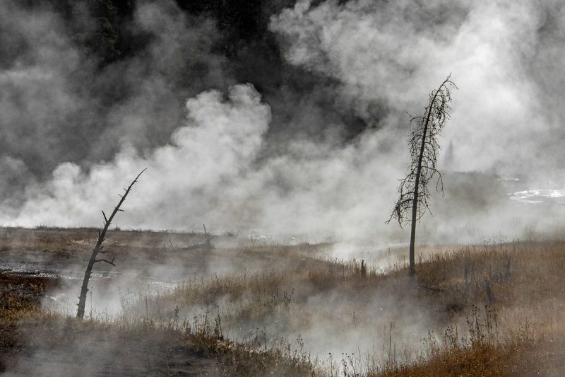 Apocalypse-GreenPeace-en-mode-FaceApp-nous-montre-a-quoi-ressemblera-la-Terre-dans-50-ans-photos-e1564740448507