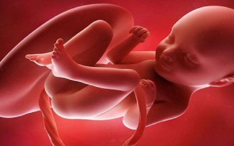 Apres-une-grossesse-entiere-dans-un-ovaire-un-bebe-vient-au-monde-vivant