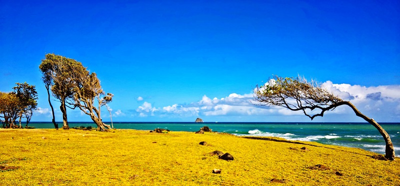 Aux-Antilles-le-colorisme-est-roi