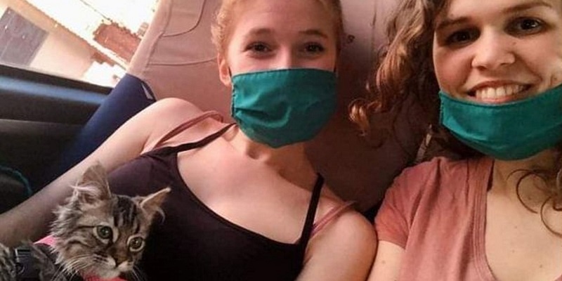 Belgique-le-tribunal-se-prononce-contre-leuthanasie-du-chaton-peruvien-Lee