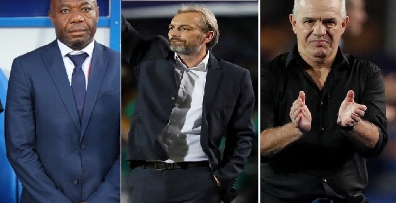 CAN-2019-des-entraineurs-vires-apres-lelimination-de-leurs-equipes