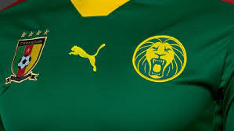 Cameroun-CAN-2021-la-liste-complete-avec-Choupo-Moting