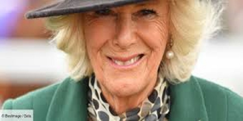 Camilla-Parker-Bowles-ce-livre-qui-a-fait-pleurer-lepouse-de-Charles-en-plein-confinement