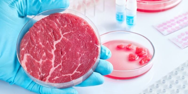 Ce-pays-autorise-la-vente-de-viande-creee-en-laboratoire