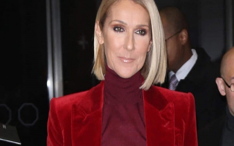 Celine-Dion-affole-la-toile-dans-une-mini-robe-a-plumes