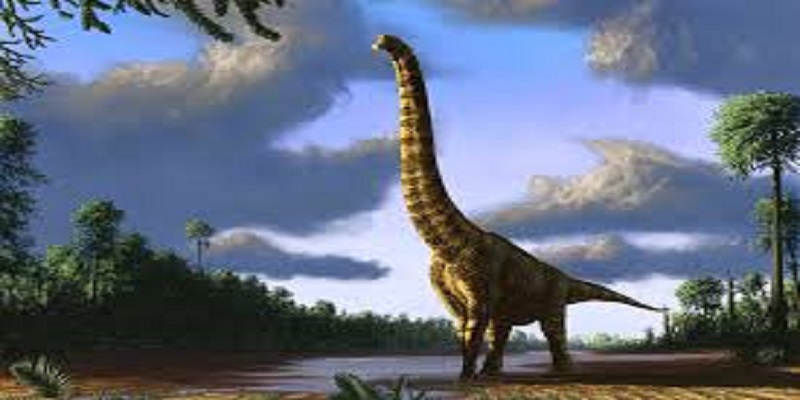 Chine-a-5-ans-il-dechiffre-des-traces-de-dinosaures-dil-y-a-130-millions-dannees