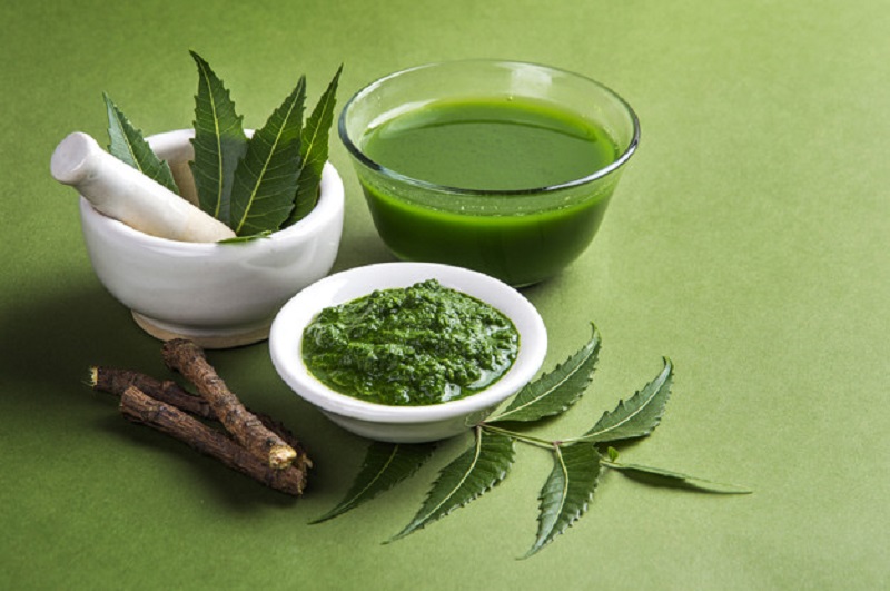 Medicinal Neem leaves in mortar and pestle with neem paste, juic