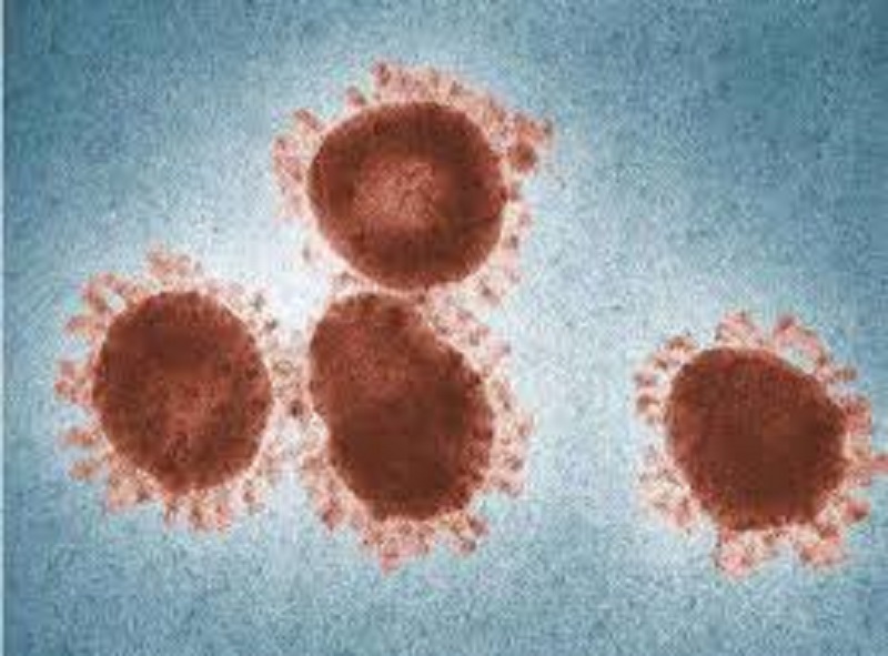 Coronavirus-voici-comment-evolue-le-virus
