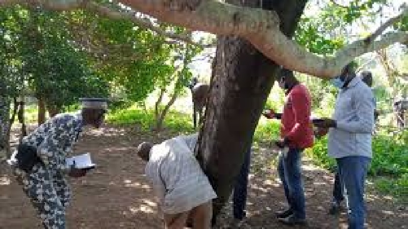 Cote-dIvoire-des-debris-geants-tombes-du-ciel