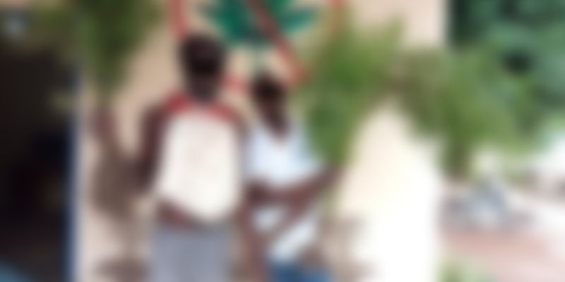 Cote-divoire-deux-freres-proprietaires-dun-hectare-de-cannabis-mis-aux-arrets