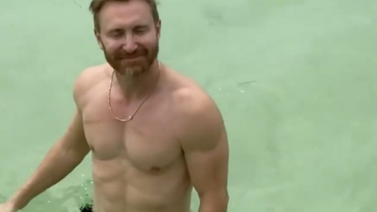 David-Guetta-face-a-un-requin-en-pleine-baignade-la-video-choc
