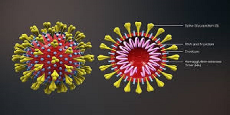 Des-chercheurs-trouvent-un-point-faible-au-coronavirus