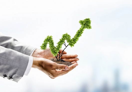 Des-portefeuilles-en-revue