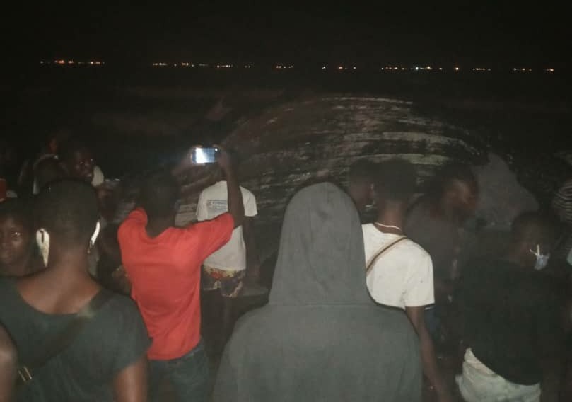 Deuxieme-balaine-morte-sur-la-plage-de-Lome
