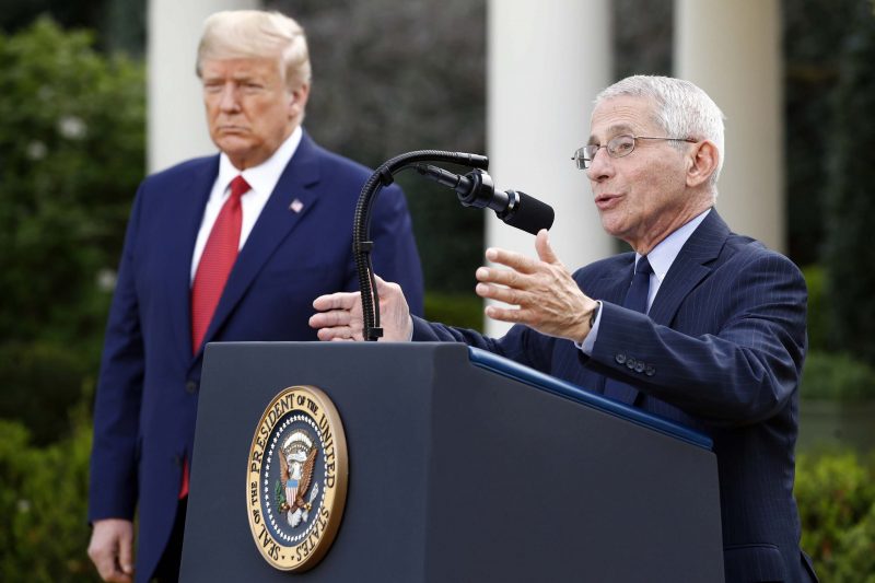 Donald-Trump-Si-nous-avons-entre-100.000-et-200.000-morts-nous-aurons-fait-un-tres-bon-travail-scaled-e1585587485714