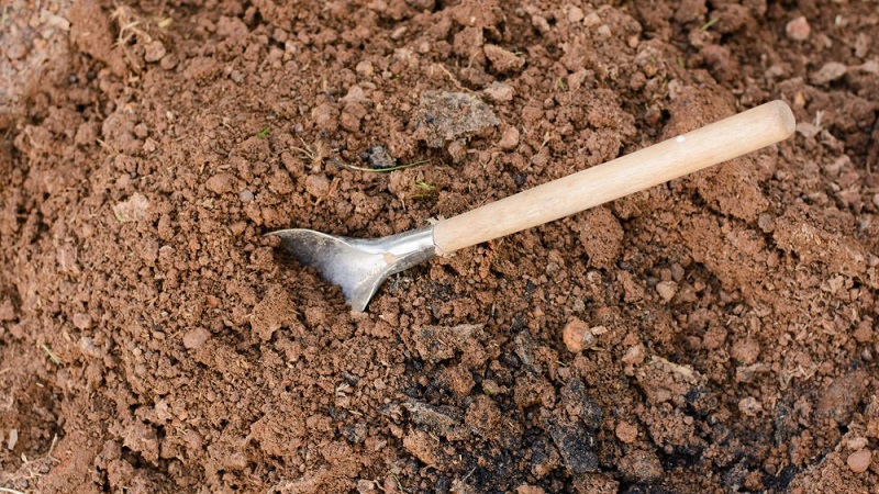 Enterre-vivant-par-vengeance-il-parvient-a-sextraire-malgre-ses-mains-liees