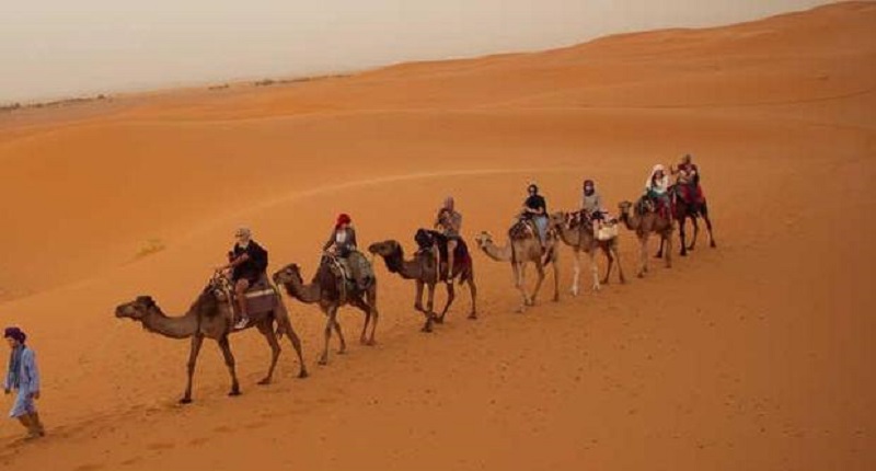 Etats-Unis-elle-reclame-environ-721500-FCFA-a-TripAdvisor-pour-etre-tombee-dun-chameau