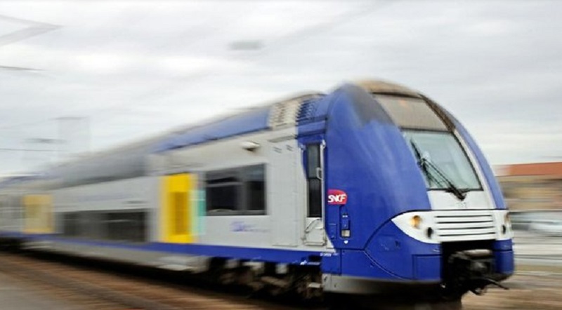 Femme-meurt-percutee-par-un-train-en-voulant-sauver-un-chien