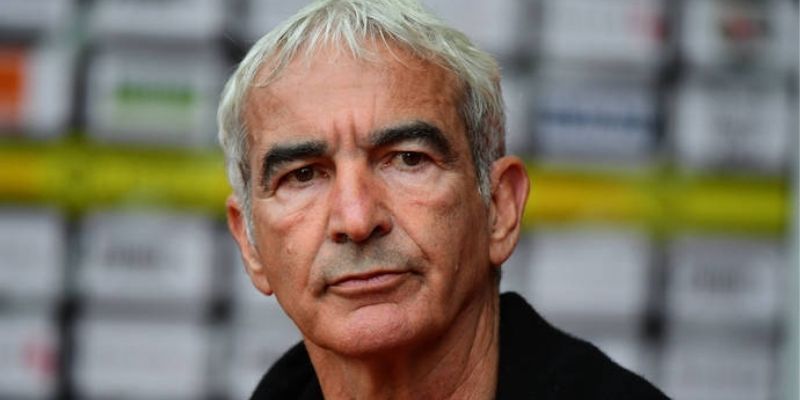 Football-Raymond-Domenech-tacle-violemment-un-journaliste-de-Telefoot