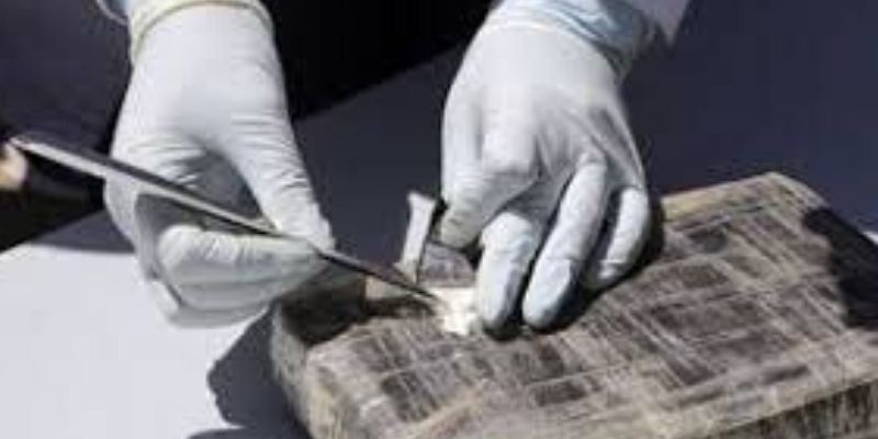 France-26-kg-de-cocaine-decouverts-dans-un-chargement-de-bananes