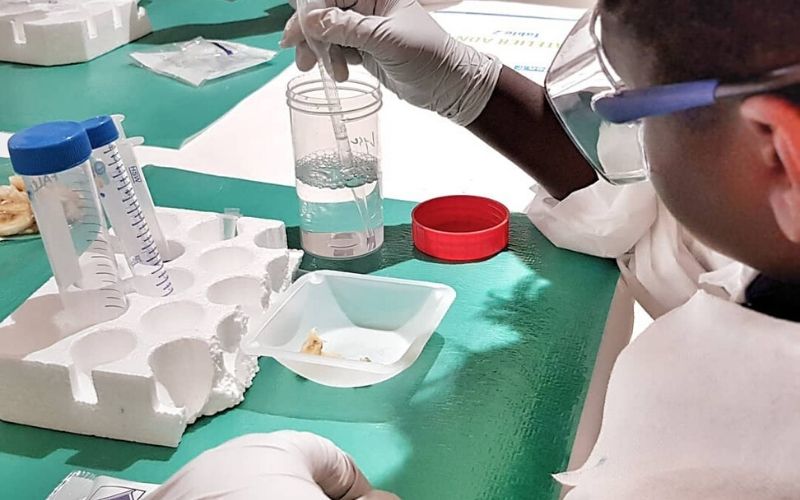 France-Covid-19-une-etude-prouve-que-le-virus-circulait-deja-avant-lannonce-des-premiers-cas