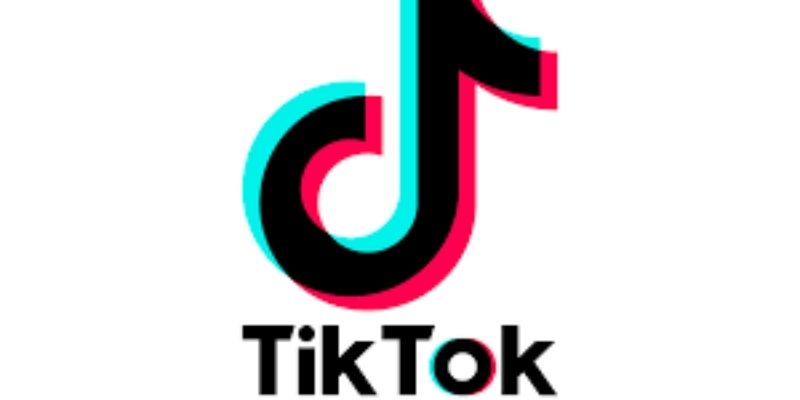 France-apres-Emannuel-Macron-un-autre-membre-du-gouvernement-saventure-sur-TIKTOK