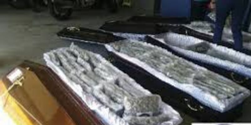 France-un-faux-corbillard-transportait-du-cannabis-dans-des-cercueils