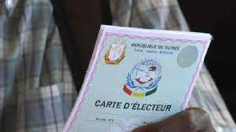 Guinee-Presidentielle-2020-la-phase-de-distribution-des-cartes-delecteur-entamee