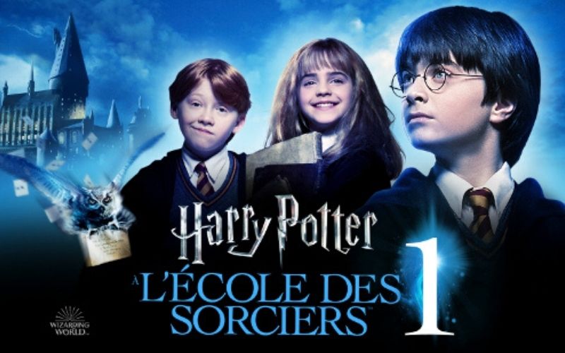 Harry-Potter-a-lecole-des-sorciers-une-fan-amasse-une-fortune-grace-au-livre