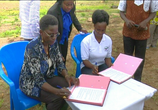 IMG_20170904_114457_530x370