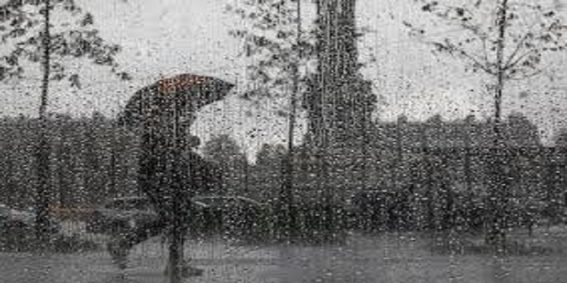 Il-devient-riche-grace-a-une-pluie-inattendue