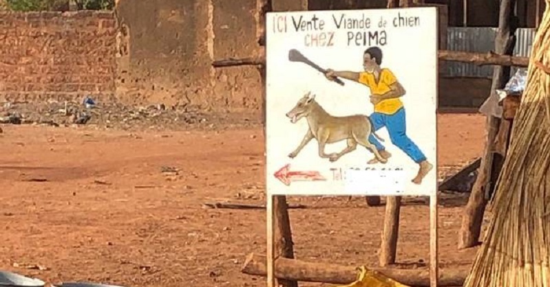 Il-tue-son-frere-a-cause-de-la-viande-de-chien-quils-devaient-manger-ensemble