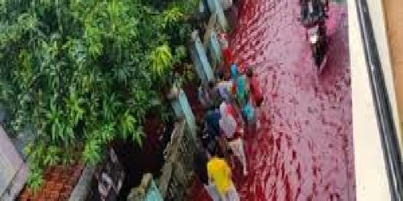 Indonesia: streets of a village invaded by blood-red waters (video)