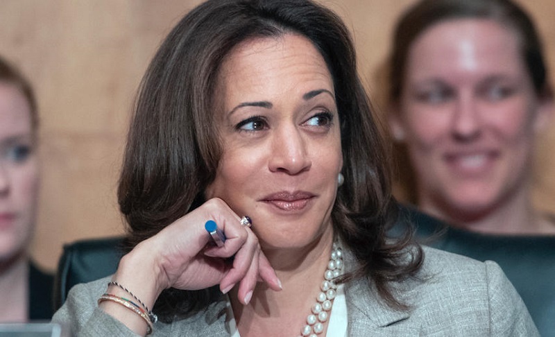 Kamala Harris : la belle-fille de la vice-présidente américaine dévoile ses s3ins lors d'un défilé (photos)