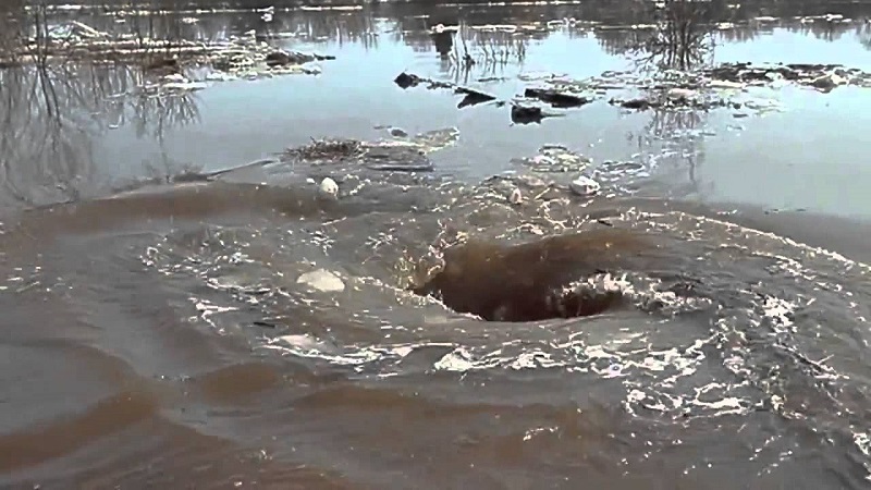 Kenya-ce-phenomene-naturel-aspire-tout-ce-qui-lentoure-video