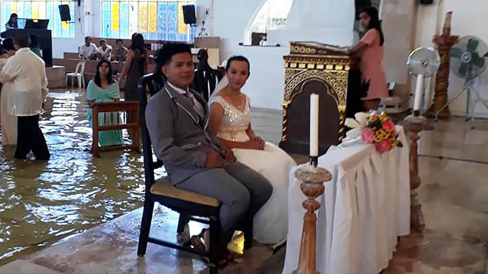 Jobel Delos Angeles, Hagonoy, Philippines, Yagi Jobel Delos Angeles, Hagonoy, Philippines, Yagi