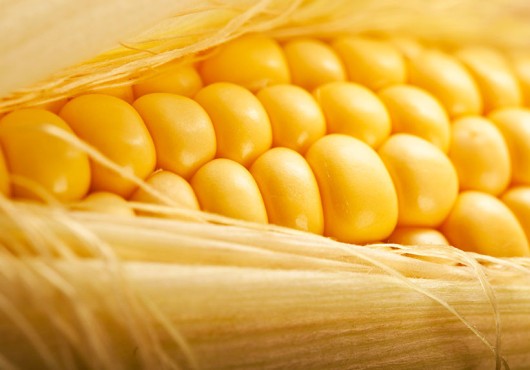 LAnsat-lance-sa-campagne-dachats-2015