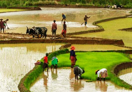 LONG-ASDI-lance-‘Entraide-agricole-pour-amener-les-jeunes-vers-lentrepreneuriat