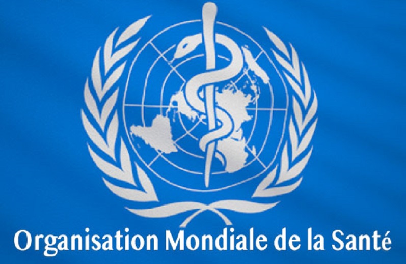 L’Organisation Mondiale De La Santé (OMS) Recrute - L-FRII