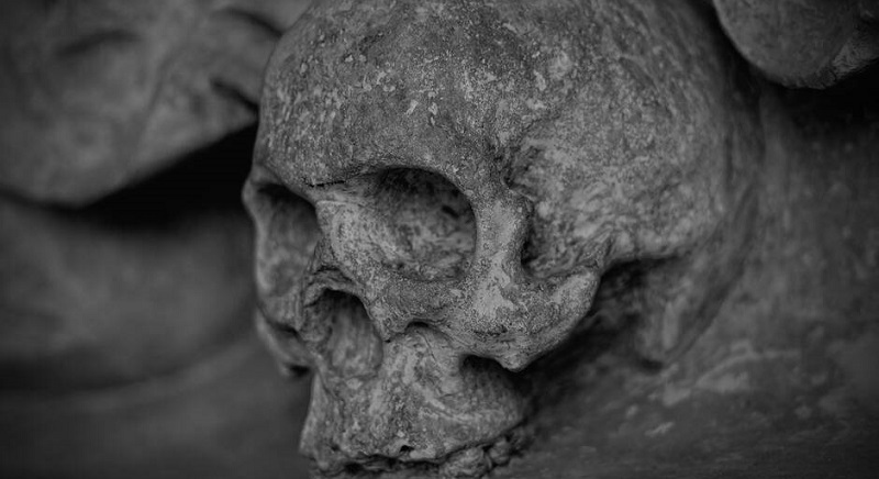 La-Belgique-va-restituer-10-cranes-de-Congolais-a-la-RDC