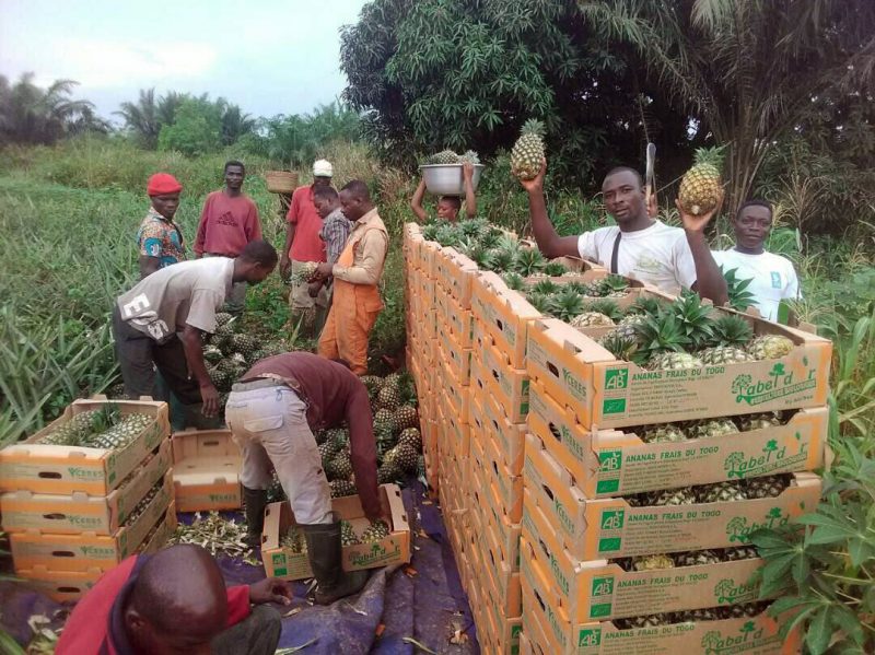 Le-Togo-mise-sur-les-bonnes-pratiques-de-letiquetage-e1558570268677