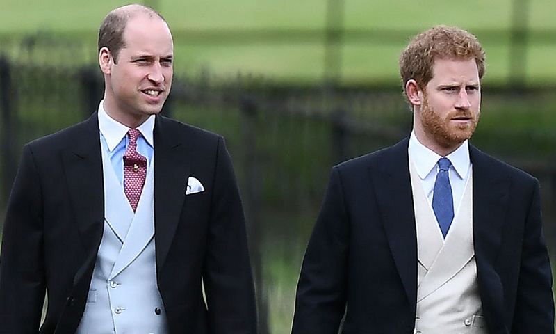 Le-prince-Harry-isole-comment-labsence-de-son-frere-pese-sur-lui